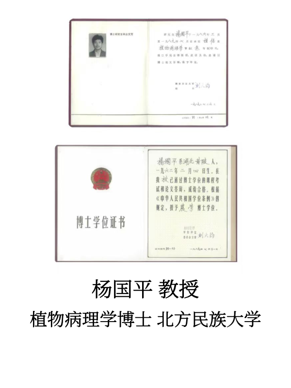 科研团队_4.png